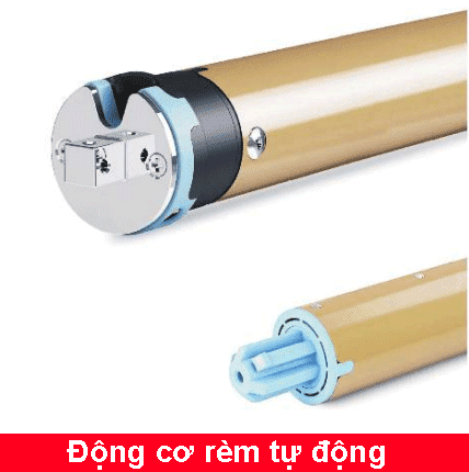 động cơ rèm tự động