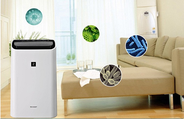 Máy làm sạch không khí và 04 công dụng phải biết